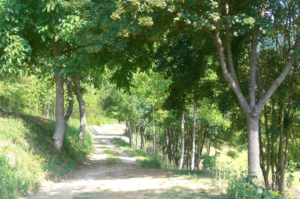 Brisighella Green Wellness المظهر الخارجي الصورة
